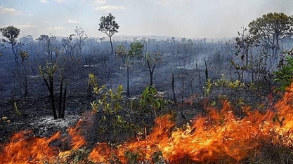 Desmate no cerrado cresce 25% e ultrapassa 10 mil km2