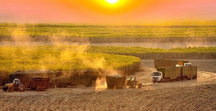 “Vamos plantar safra 2022/23 grande;há potencial de superar dados da Conab”