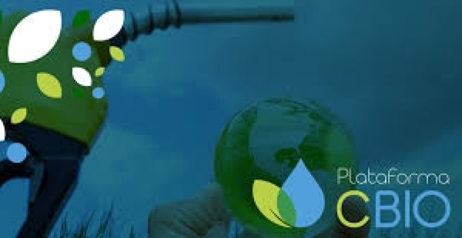 CNPE aprova aumento de metas de CBios pelas distribuidoras em 2023 