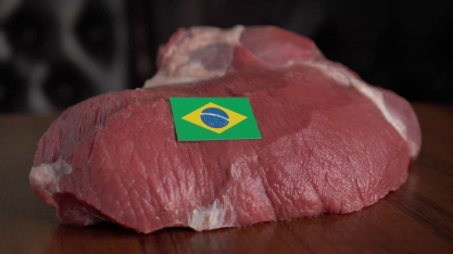Carne: Brasil deve continuar com um dos principais exportadores para EUA