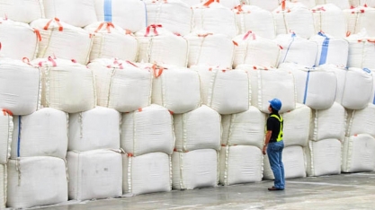 Exportação de açúcar bate recorde em novembro e com bons preços