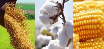 Mato Grosso produzirá 143 milhões de toneladas de grãos em 2032 