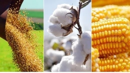 Mato Grosso produzirá 143 milhões de toneladas de grãos em 2032 