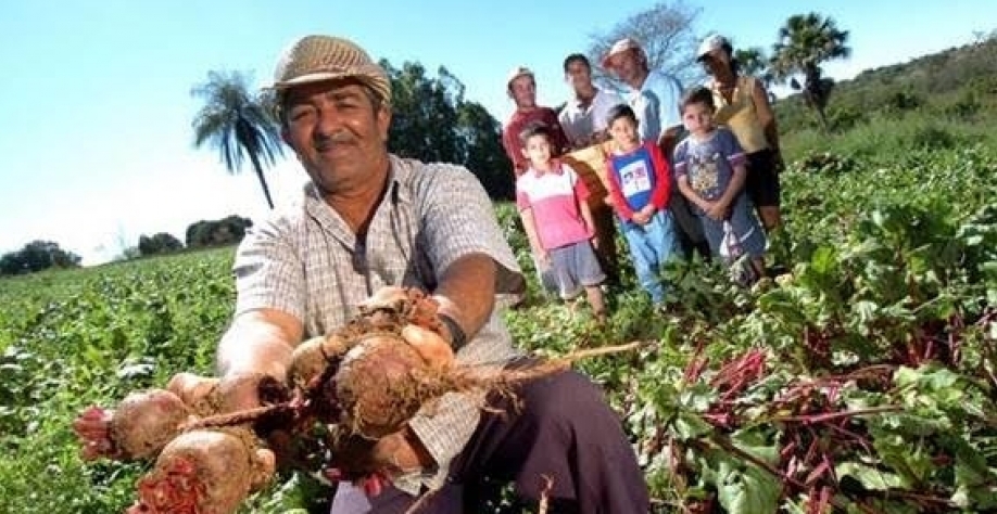 Falta de alimentos atinge um quinto dos pequenos agricultores