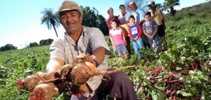 Falta de alimentos atinge um quinto dos pequenos agricultores