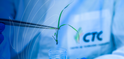 Cana: CTC lança em 2023 3 variedades adaptadas a ambientes restritivos