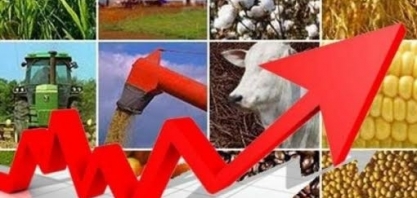 CNA prevê alta do PIB Agro do Brasil em 2023, da ordem de 2,5%