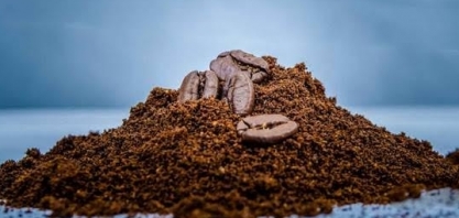 Conab eleva em 1% previsão de safra de café do Brasil