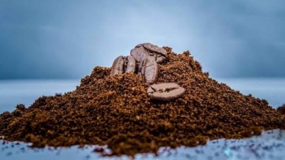 Conab eleva em 1% previsão de safra de café do Brasil