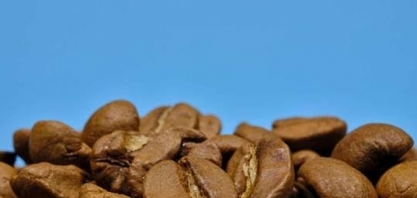 Café: Análise Conjuntural Agromensal Novembro/22 Cepea/Esalq/USP