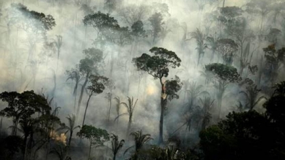 Zerar desmatamento na Amazônia e no cerrado pode gerar ganho de R$ 1,2 tri