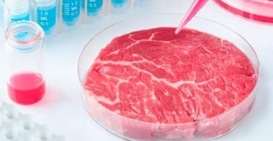 Carne de laboratório está virando realidade comercial
