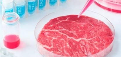 Carne de laboratório está virando realidade comercial