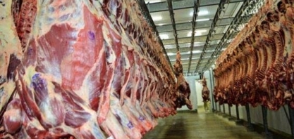 Frigoríficos de carne no Paraná sofrem com a crise do gado