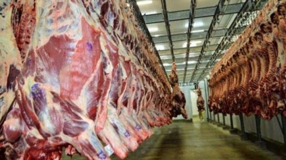 Frigoríficos de carne no Paraná sofrem com a crise do gado