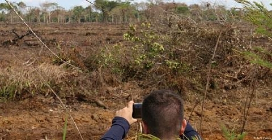 Ministros deixaram governos com recordes de desmatamento do cerrado