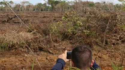 Ministros deixaram governos com recordes de desmatamento do cerrado