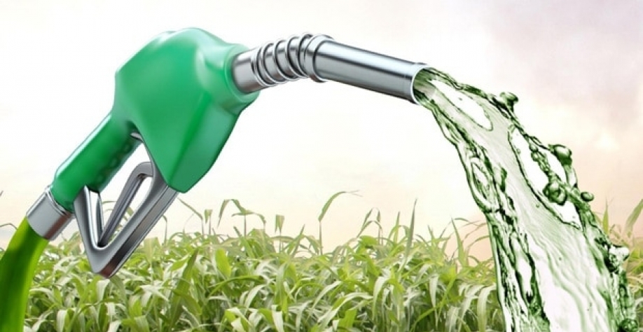  Etanol: Anidro cai 4,73% e hidratado 1,15% na semana nas usinas de SP