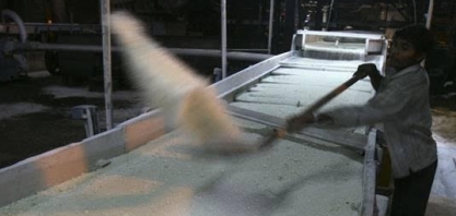 Índia não deve permitir nova leva de exportação de açúcar, diz Reuters