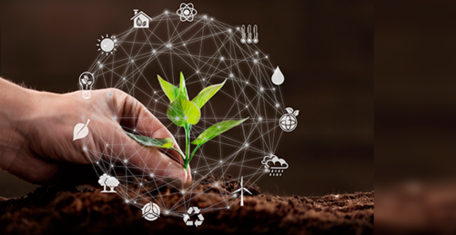 Do discurso da COP-27 à prática do agro brasileiro