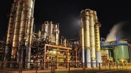 Setor do etanol cobra descarbonização após governo Lula desonerar gasolina