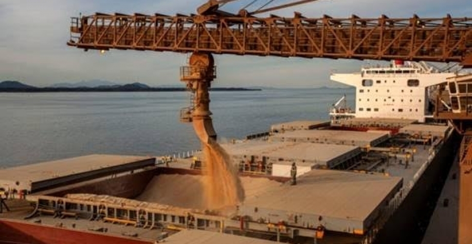 Mais de 33 de cada 100 quilogramas de soja serão colhidos no Brasil. Foto: Carlos Novaes/Portos do Paraná