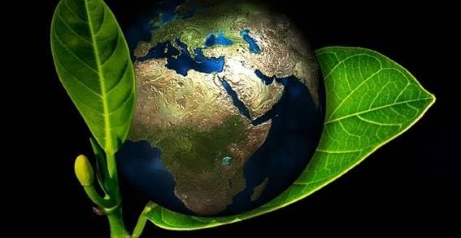 Lançada para europeu ver, gestão ambiental de Lula promete hesitação