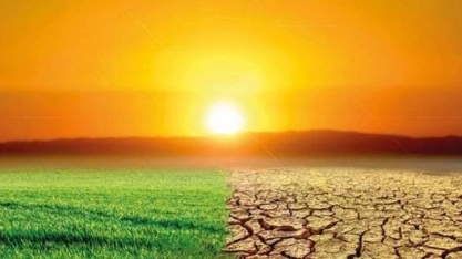  O presente da agropecuária e o futuro governo - Por Evaristo de Miranda