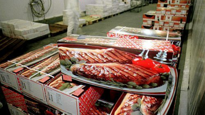 Abertura de mercado para agro avança, mas encontra barreiras comerciais