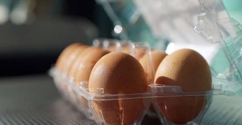 Ovos: Brasil exporta 9,474 mil t em 2022, -16,5% e receita sobe 24,2%