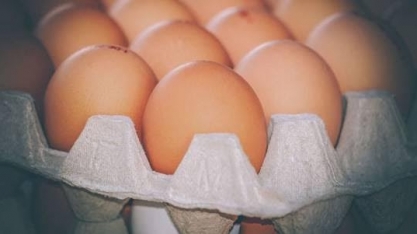 4 pontos para entender a escassez de ovos no mundo