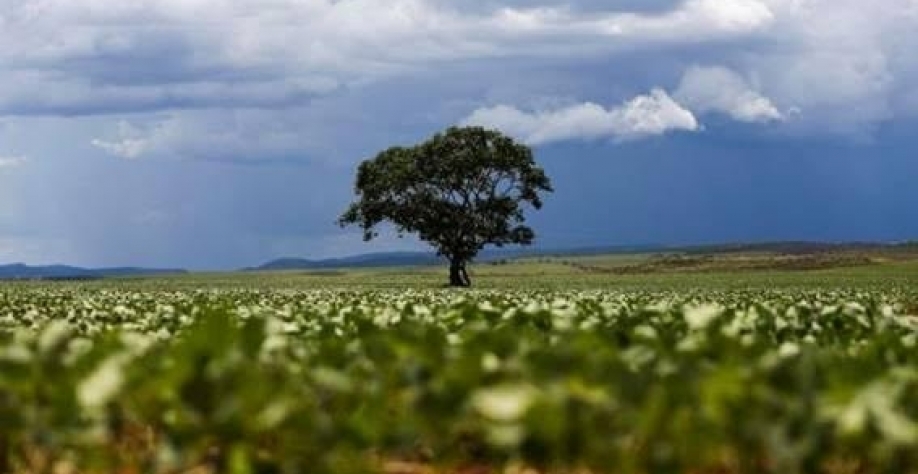 Potência agroambiental, do discurso à prática