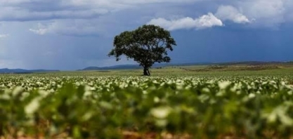 Potência agroambiental, do discurso à prática