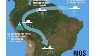 Perdas nos rios voadores podem extinguir espécies da mata atlântica