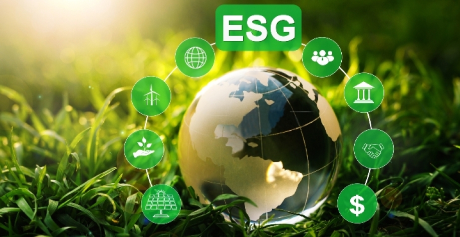 Para maioria dos brasileiros, tecnologia é crucial para sustentabilidade