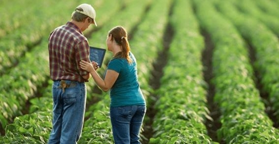 5 previsões do que pode ocorrer no agro em 2023