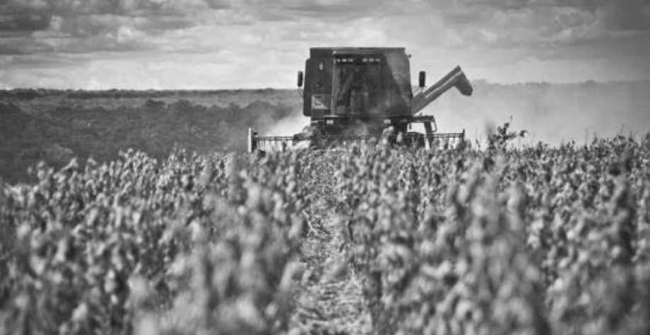 Adido do USDA eleva previsão de safra de soja do Brasil