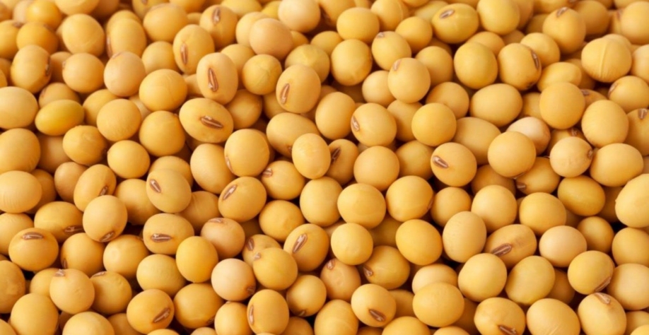 Soja: Análise Conjuntural Agromensal Cepea/Esalq/USP Dezembro/22