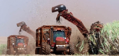 Unica diz que chuvas trazem expectativa favorável para nova safra de cana