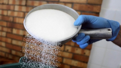 OIA reduz projeção para superávit global de açúcar em 2022/23 a 4,2 mi de t