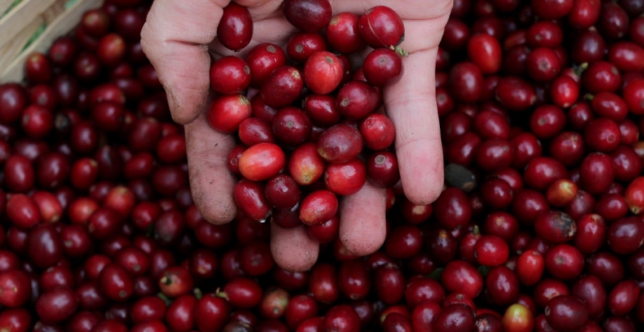 Café: Vendidos 1 x Comprados 0 – Por Marcelo Fraga Moreira