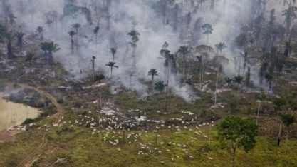 Desmatamento na Amazônia tem queda de 61% em janeiro, aponta Inpe