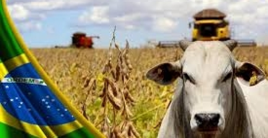 VBP deve ser recorde neste ano com R$ 1,265 trilhão