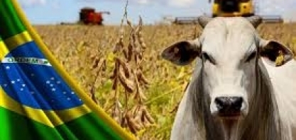 VBP deve ser recorde neste ano com R$ 1,265 trilhão