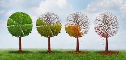 Como mudanças climáticas afetam a economia enquanto campo de estudo?