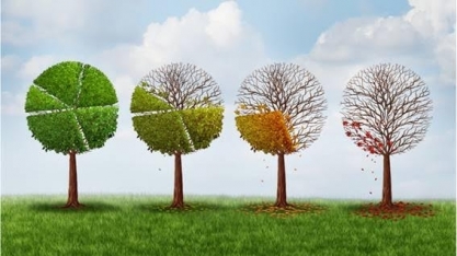 Como mudanças climáticas afetam a economia enquanto campo de estudo?