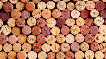 Produção de vinho do século 21 tem semelhanças com o Brasil do século 19