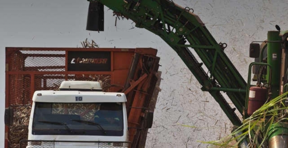 Setor sucroenergético precisa de mais inovação além de tributação favorável