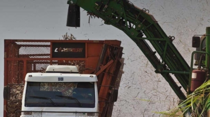 Setor sucroenergético precisa de mais inovação além de tributação favorável