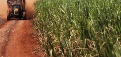 Tailândia prevê elevar exportação de açúcar para 9 mi t em 2022/23